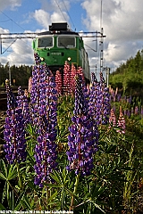 1079_Rd2_Stockaryd_20120611a