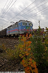 1260_Rm_Vejbyslatt_20120925a