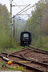4307_X31K_Grevie_20100514a