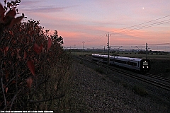 4383_X31K_Glumslov_20101013