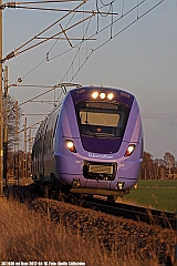 X61_040_Oxie_20120416