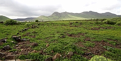 IMG_0368