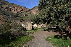 IMG_0561