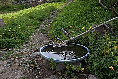 IMG_0563