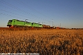 Re_1425_Vejbyslatt_20140827